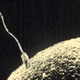 Image for article titled Sperm Donor Who's "Fathered" 400 Kids Calls For Better Regulation Of Genetic Material